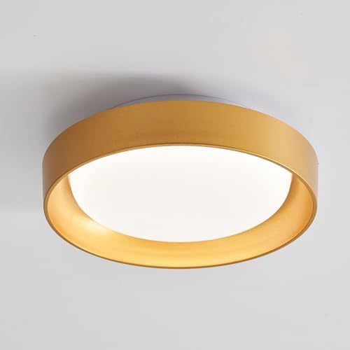 HYDELITE Gold Flush Mount LED Ceiling Light