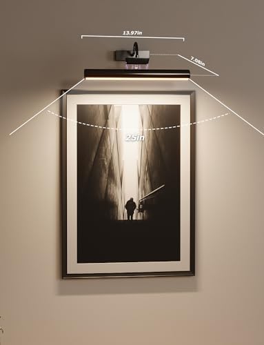 Skairipa Wireless Picture Light with Remote 2Pack 1