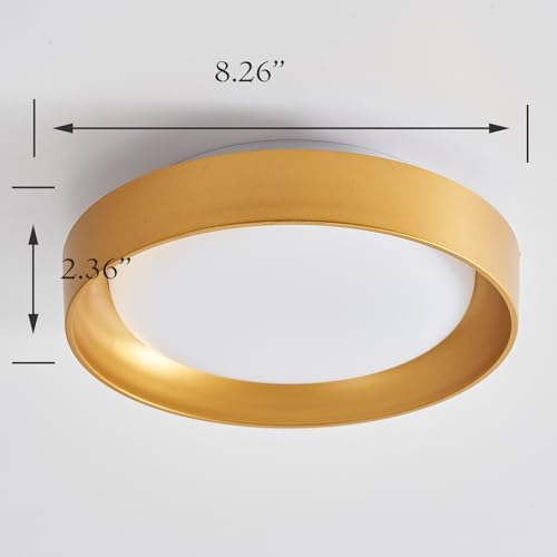 HYDELITE Gold Flush Mount LED Ceiling Light