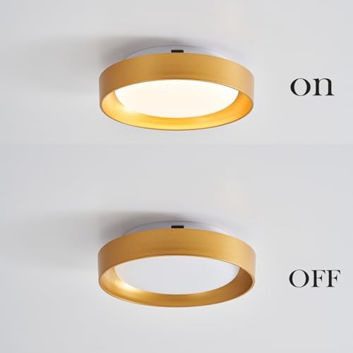 HYDELITE Gold Flush Mount LED Ceiling Light