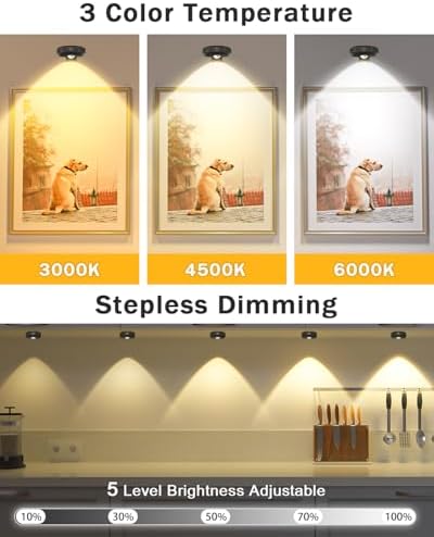 WILLED 3 Pack Picture Frame Lights with Remote