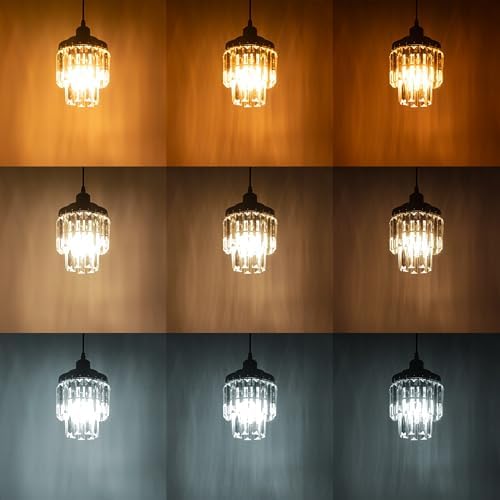 Adjustable Height Halo Pendant Light with Dimmable Remote Control
