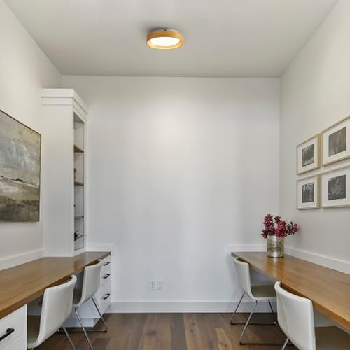 HYDELITE Gold Flush Mount LED Ceiling Light
