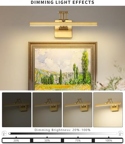 Pasoar Hard-Wired Dimmable LED Picture Light with Brass Body 157 Inch