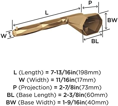 Amerock BH36041CZ Champagne Bronze Toilet Paper Holder 1