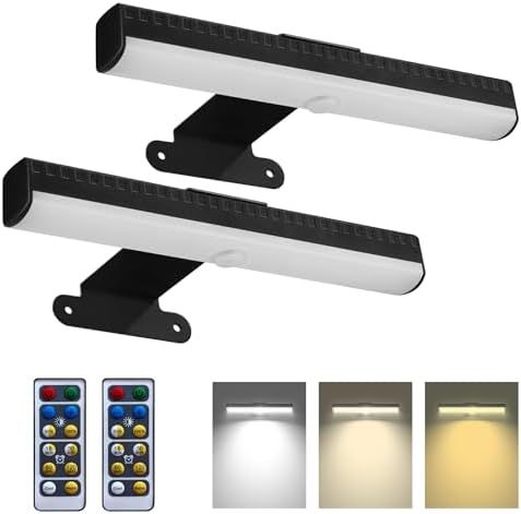 HIPTOKING 2 Pack Dimmable Picture Wall Light with Remote Control