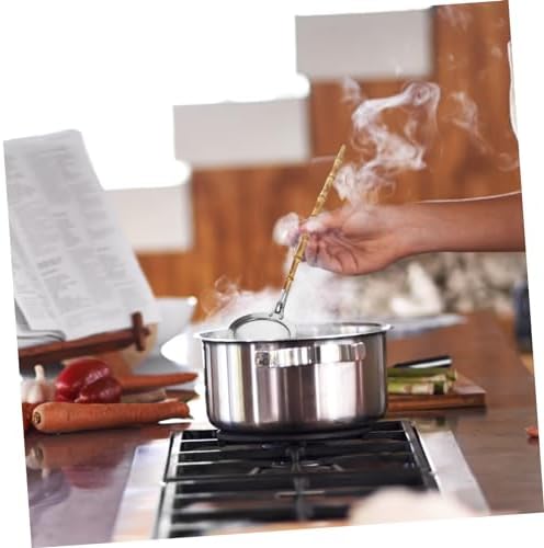 DECHOUS 304 Stainless Steel Skimmer Spoon with Handle