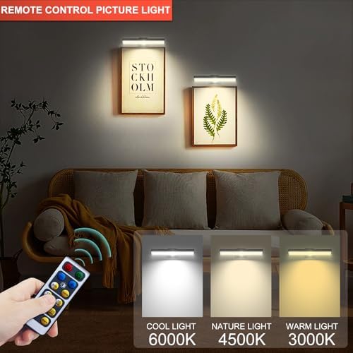 HIPTOKING 2 Pack Dimmable Picture Wall Light with Remote Control