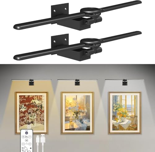 Cotaros 2 Pack Rechargeable Picture Light with Timer and Dimmer Black