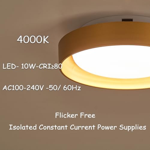 HYDELITE Gold Flush Mount LED Ceiling Light