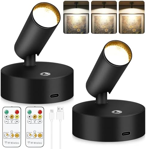 2-Pack Rechargeable LED Spotlight with Remote Control