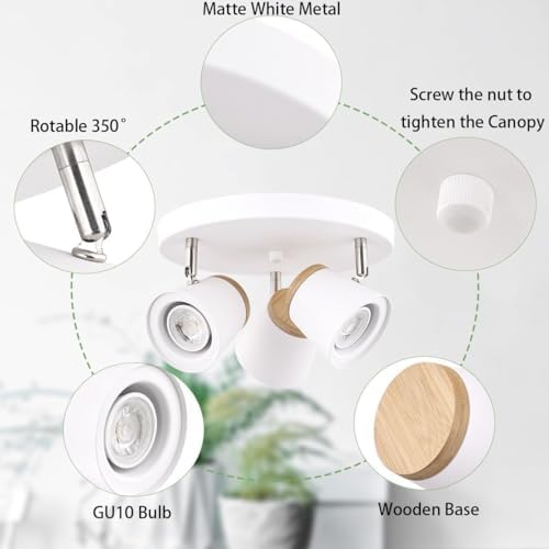 TeHenoo 3-Light Ceiling Spotlight with Bamboo Accent