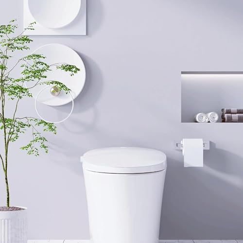 Stainless Steel Double Post Pivoting Toilet Paper Holder