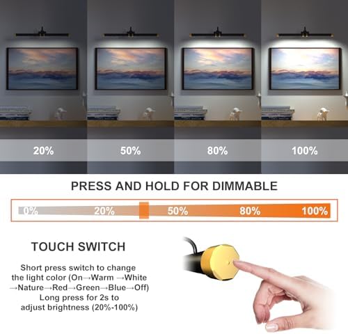 Starxing Picture Light with RGB Remote Control