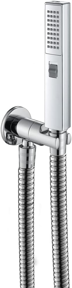 Handheld Shower 2 OutletChromed ABS Shower Head