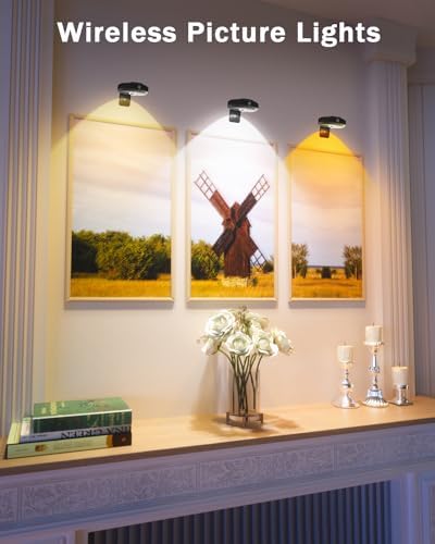 WILLED 3 Pack Picture Frame Lights with Remote