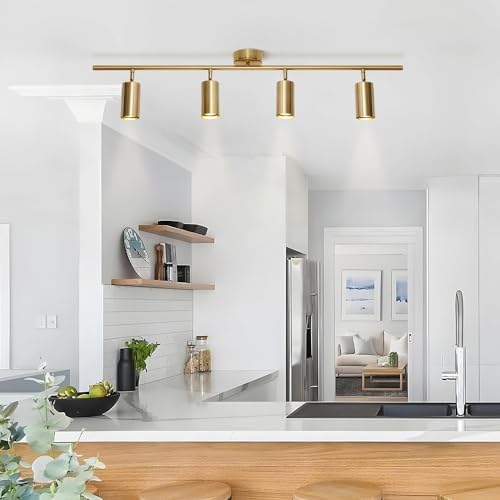 KCO 4-Light Gold LED Track Lighting Kit Brushed Brass