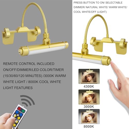 HONWELL Rechargeable Picture Light with Remote and 3 Modes 1