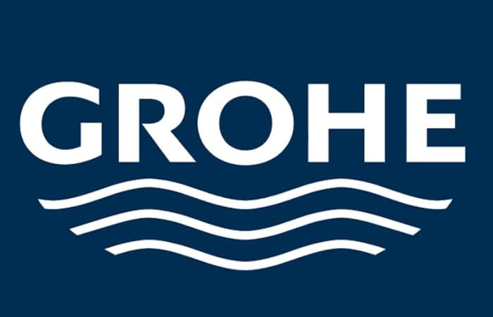 GROHE Vitalio Go 100 26542000 Chrome Handheld Shower - Radiant Jet Design