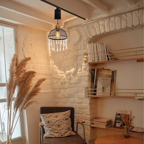 Adjustable Track Pendant Light with Crystal Bowl Shade