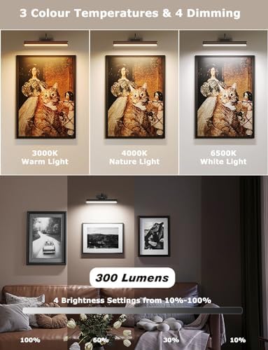 Skairipa Wireless Picture Light with Remote 2Pack 1