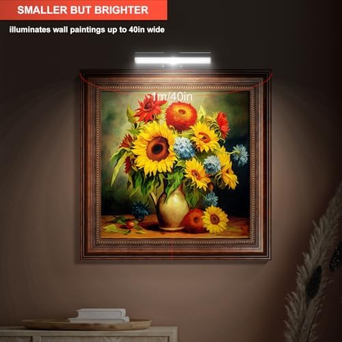 HIPTOKING 2 Pack Dimmable Picture Wall Light with Remote Control