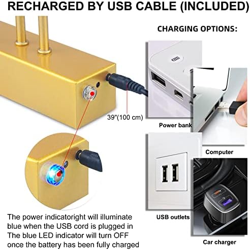 FUNCHDAY Gold Picture Light with Timer and Dimmable