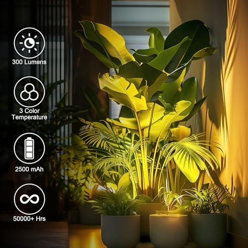 2-Pack Rechargeable LED Spotlight with Remote Control