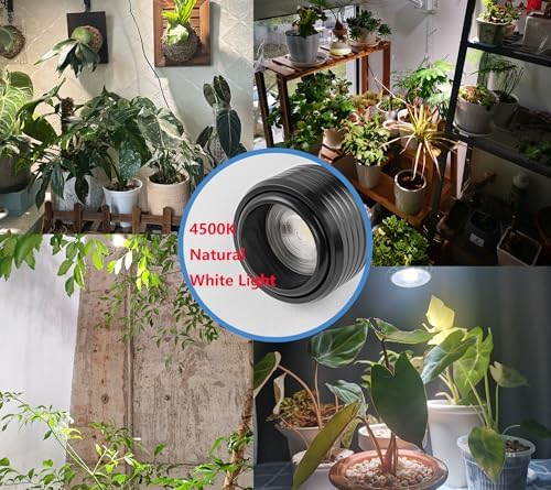 KAYYELAMP 10W Full Spectrum Plant Grow Track Light 4500K