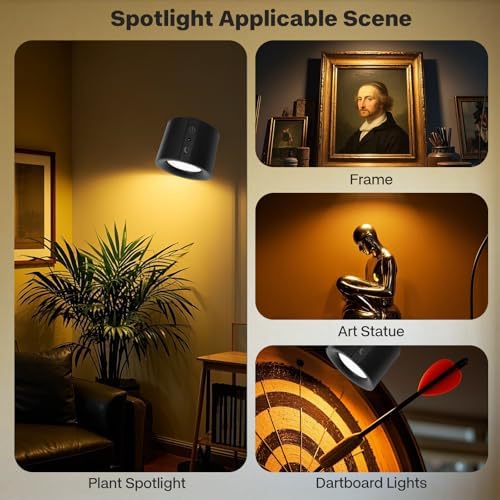 LED Spotlight Indoor Rechargeable with Dual Light Source and 360 Adjustment