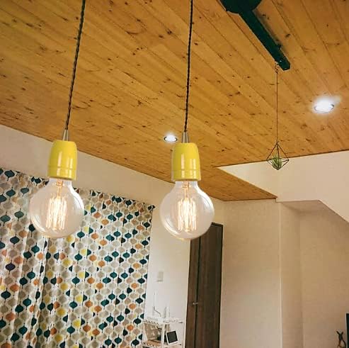 KAYYELAMP J Track Pendant Light No Bulb No Track