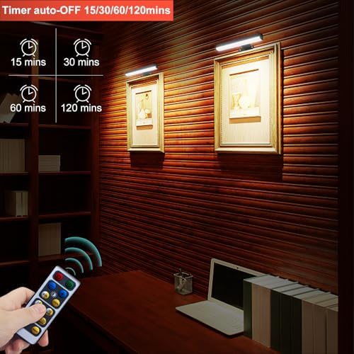 HIPTOKING 2 Pack Dimmable Picture Wall Light with Remote Control