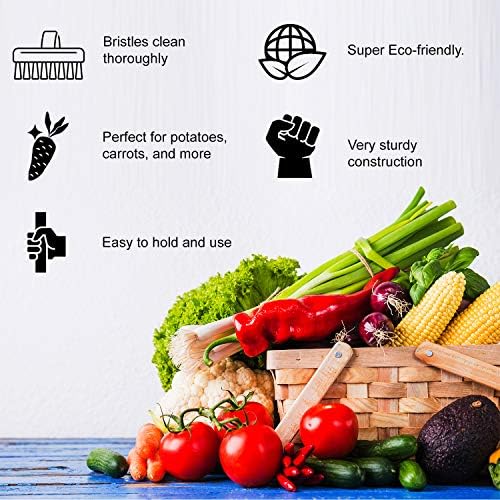 Sun Yunseng Vegetable Brush - Natural Bamboo Palm Fiber