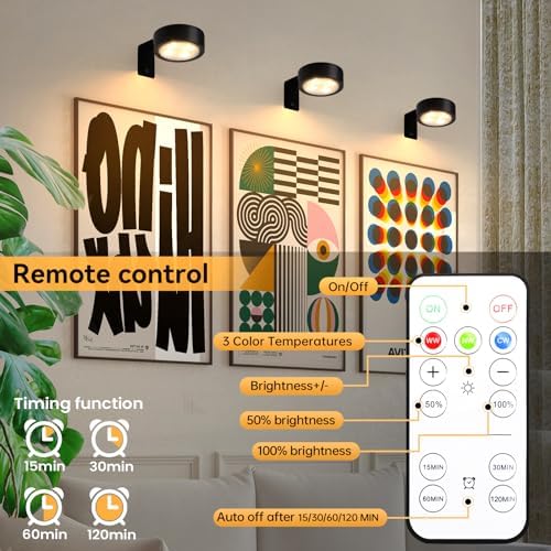 KELUOLY 4-Pack Picture Light with Remote and Dimmable Timer