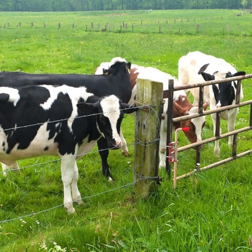 2 Pack 18-Inch Farm Gate LatchesSturdy Durable for Cattle Pasture