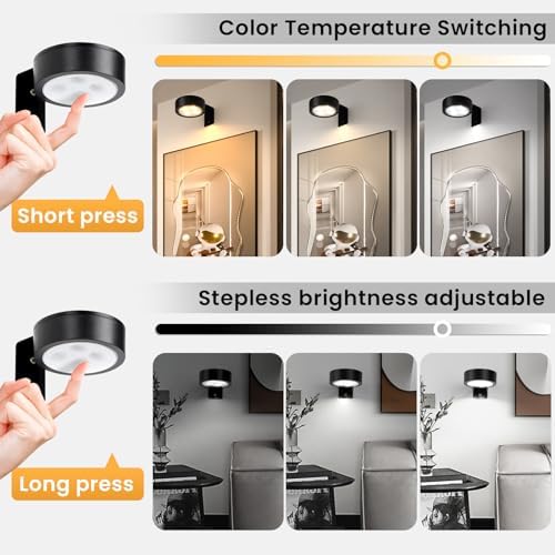 KELUOLY 4-Pack Picture Light with Remote and Dimmable Timer