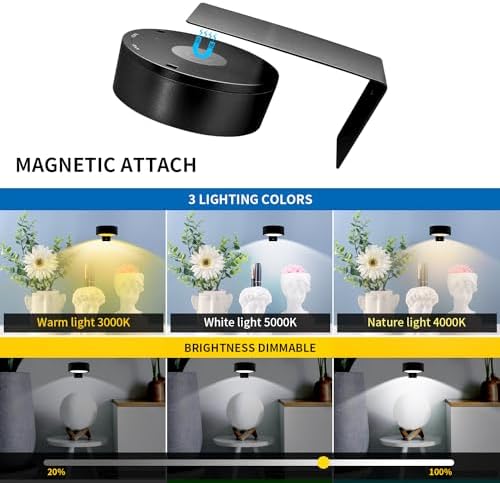 3PACK Picture Light with Remote 3 Colors