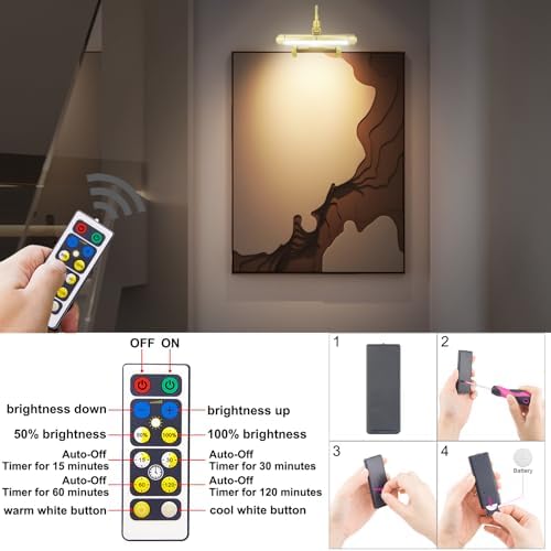 HONWELL Rechargeable Picture Light with Remote and 3 Modes 1