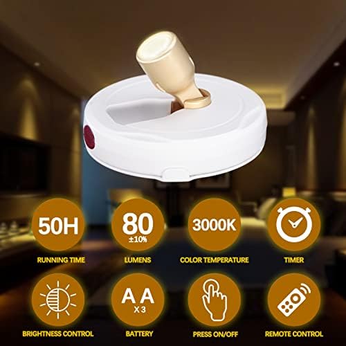 KANESIKI Battery Operated Picture Light with Remote