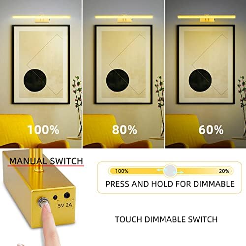FUNCHDAY Gold Picture Light with Timer and Dimmable