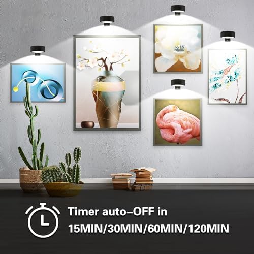 3PACK Picture Light with Remote 3 Colors