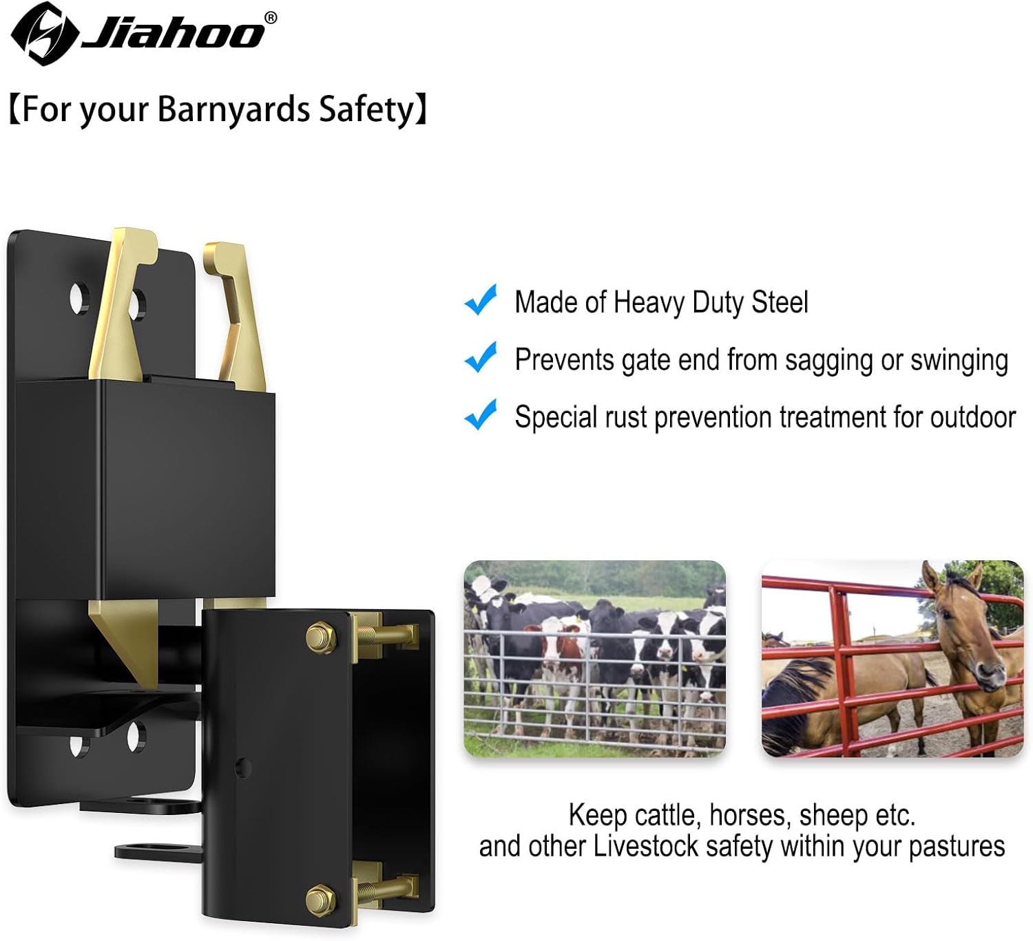 Secure 2-Way Farm Gate Latch