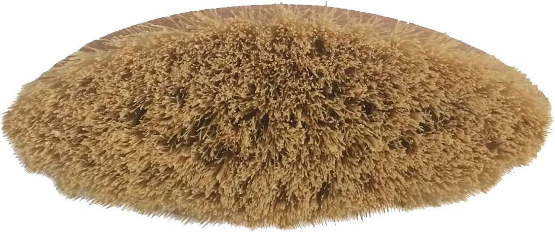 Sun Yunseng Vegetable Brush - Natural Bamboo Palm Fiber