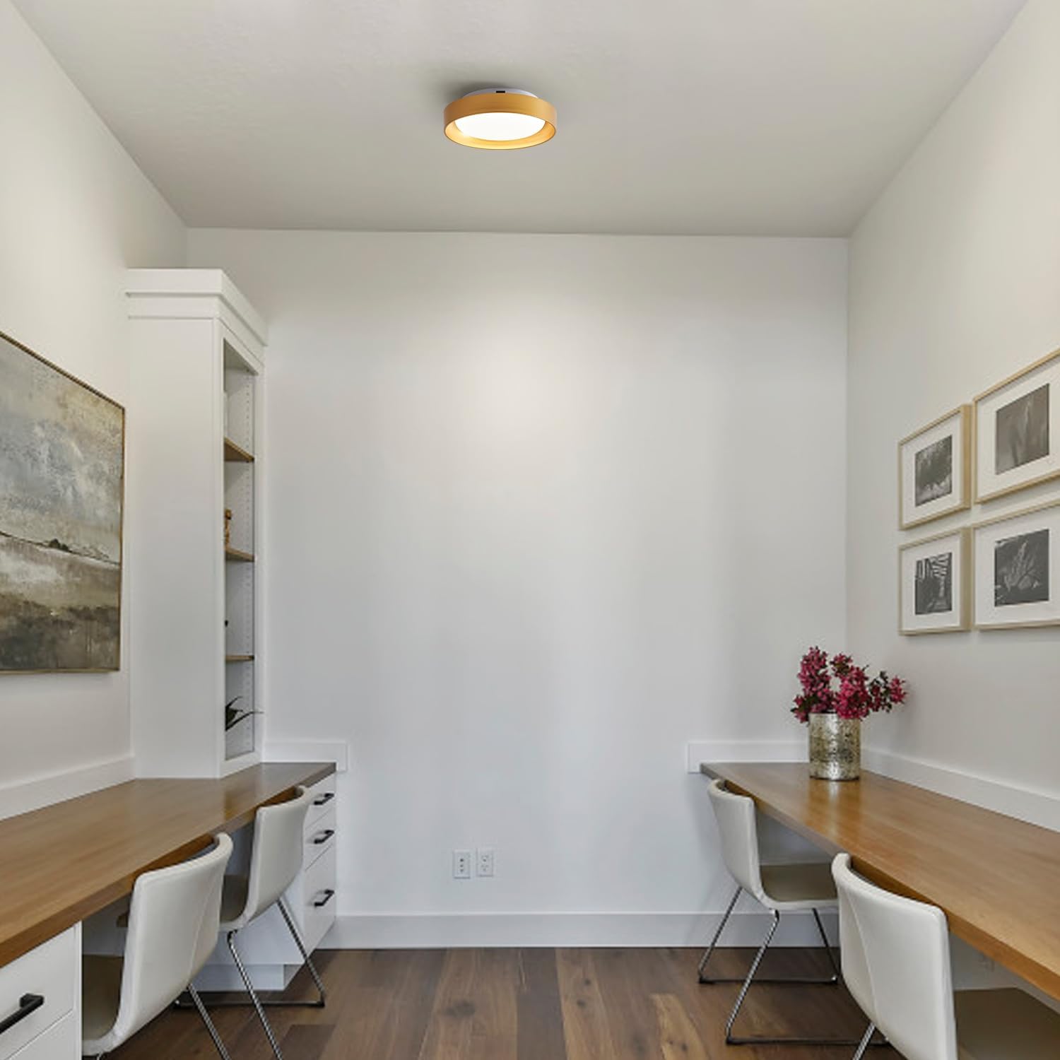 HYDELITE Gold Flush Mount LED Ceiling Light