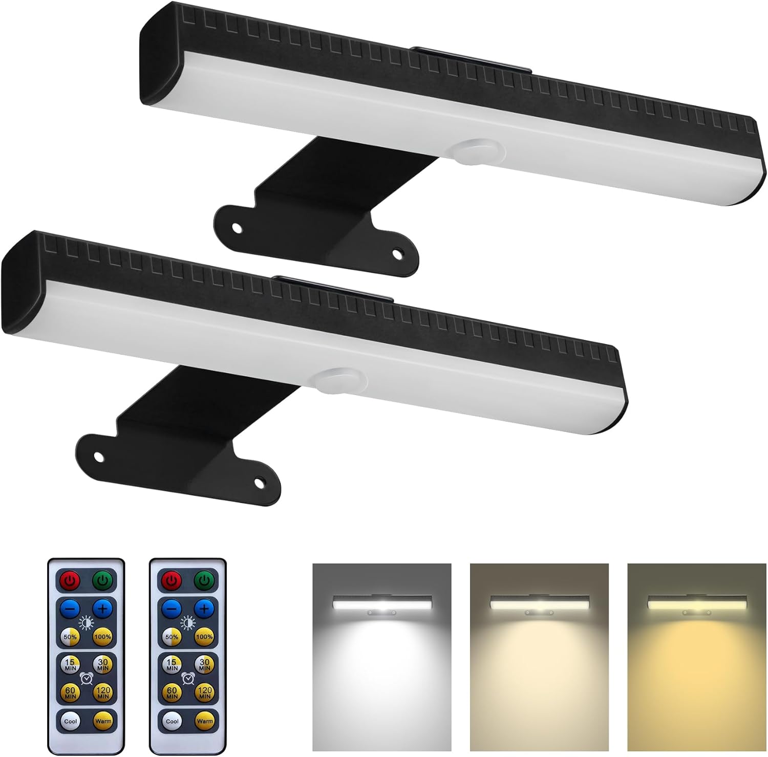 HIPTOKING 2 Pack Dimmable Picture Wall Light with Remote Control