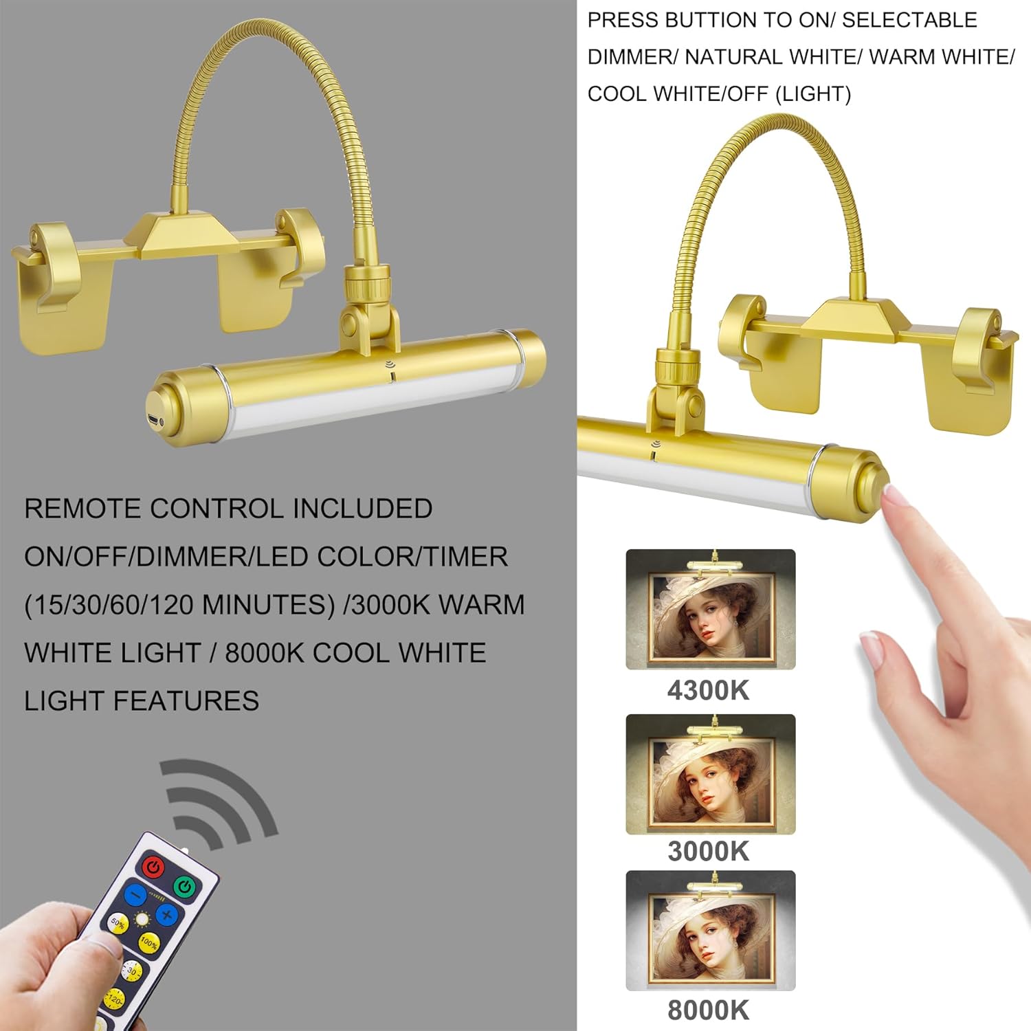 HONWELL Rechargeable Picture Light with Remote and 3 Modes 1