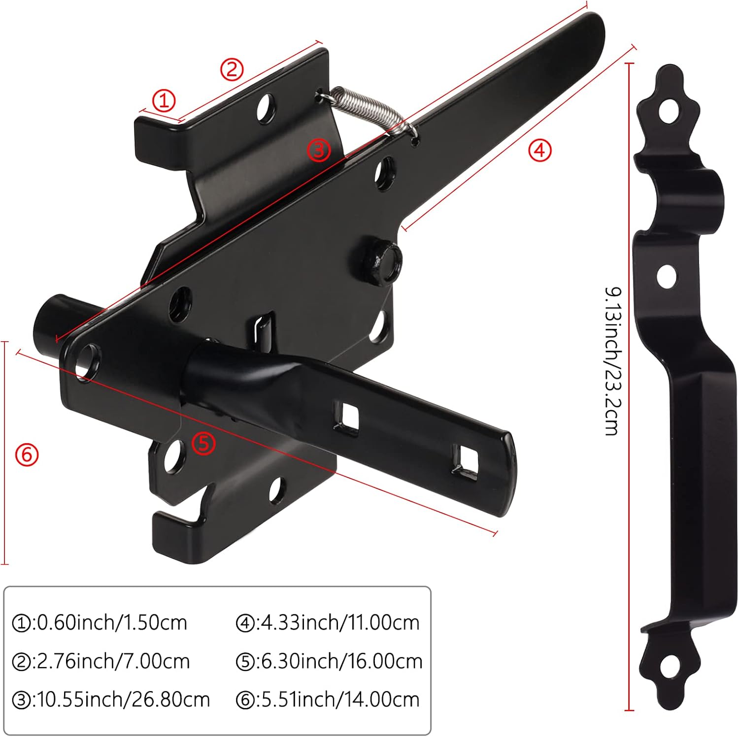 Secure Molecular Gate Latch