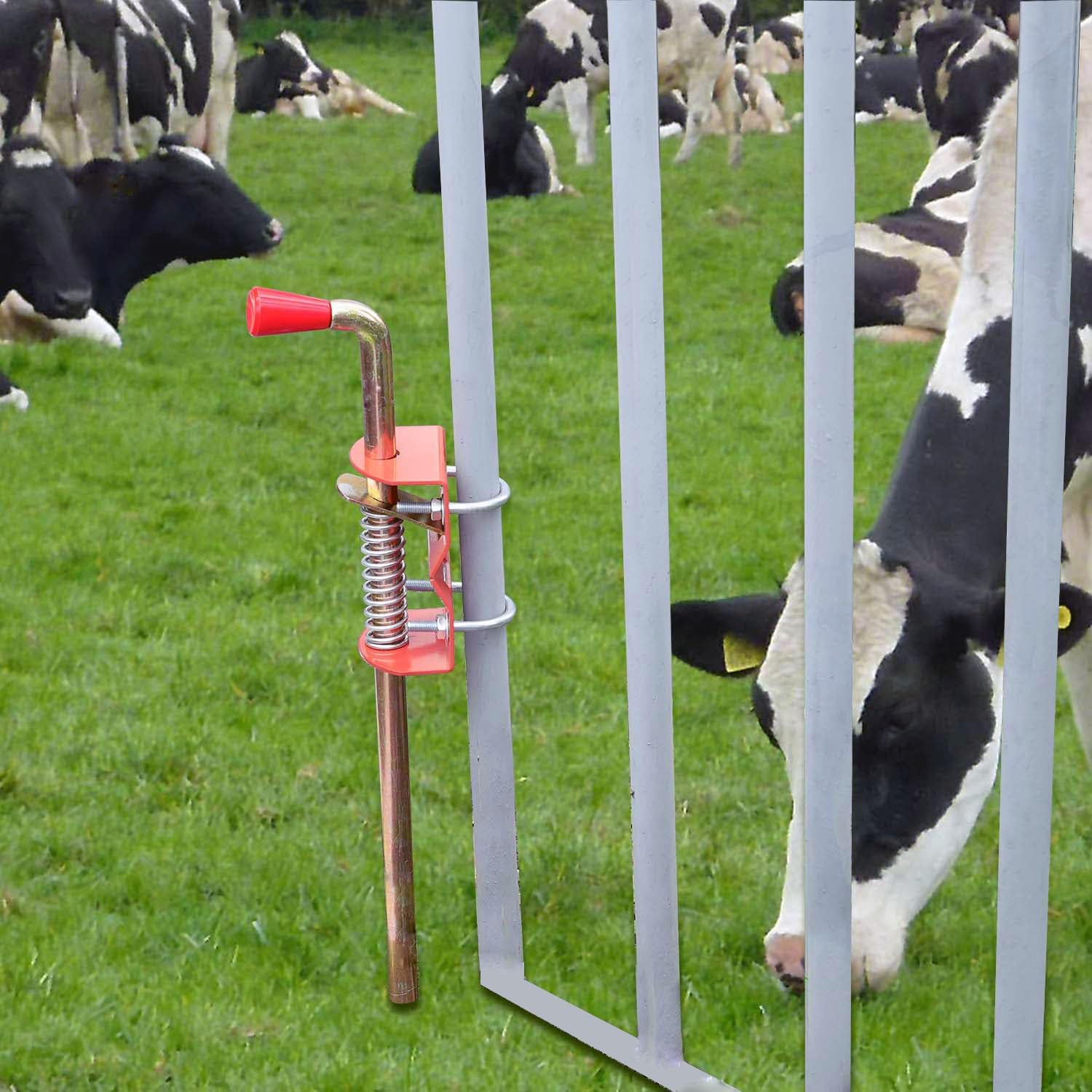 Secure Farm Gate with Farm Gate Anchor Cane Bolt