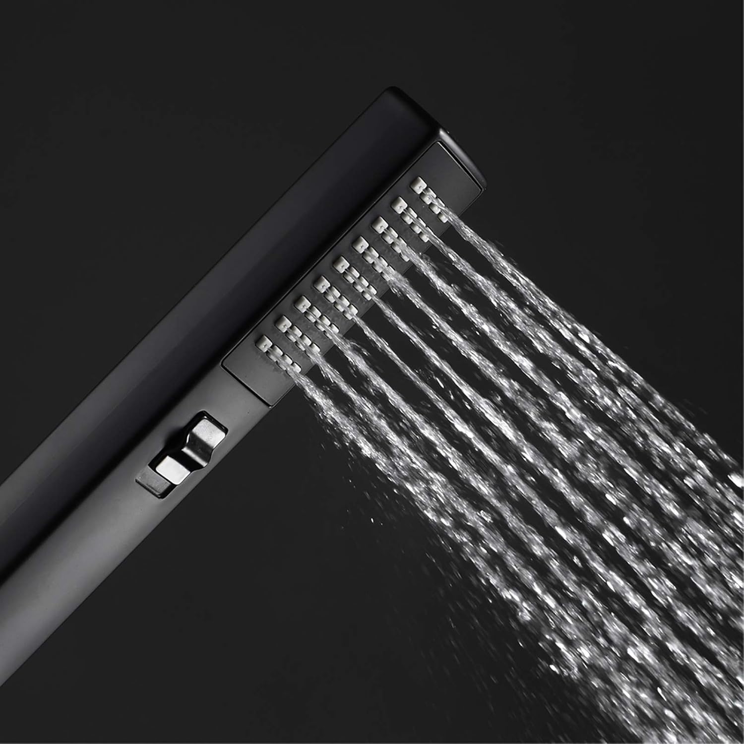 Handheld Shower Head with 2 Settings
