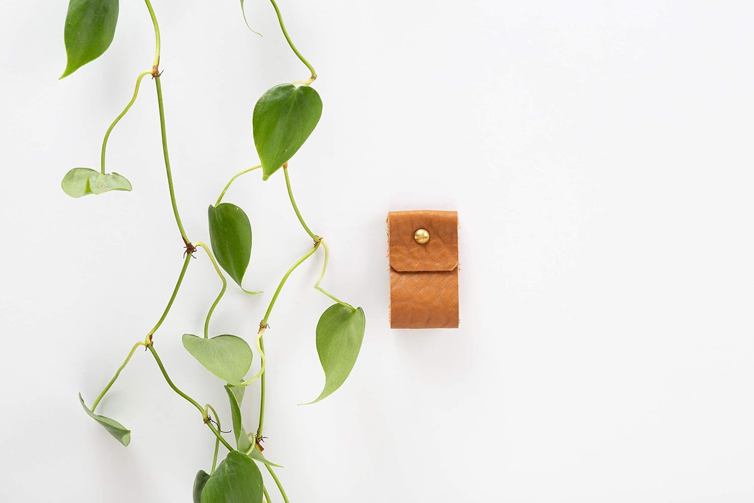 KEYAIIRA Small Wide Leather Wall Hook